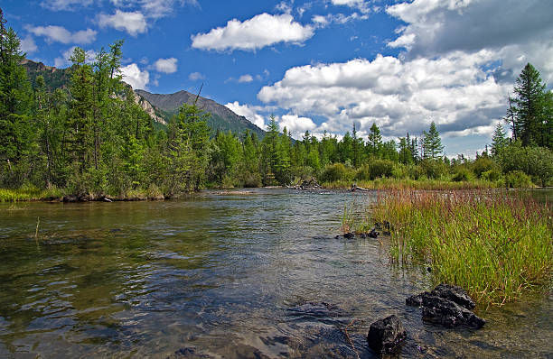 istock River in the Eastern Sayan Mountains 503783779