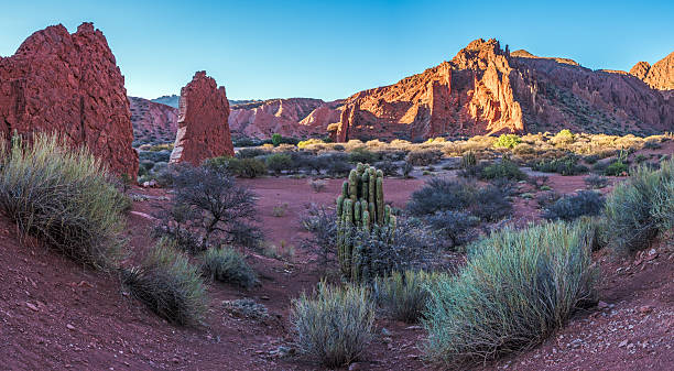istock Altiplano, Bolivia 503784022