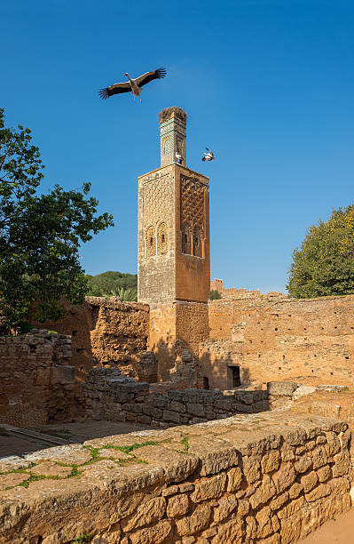 minarete de necrópole chellah necrópole. rabat. marrocos. - salé city imagens e fotografias de stock