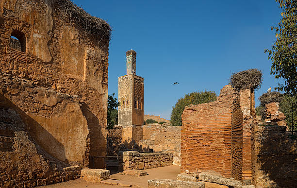 Mosque and minaret ruined of Chellah necropolis. Rabat. Morocco. Remains of the Islamic complex of Chellah..Mosque and minaret ruined. Chellah or Sala Colonia is the necropolis of Rabat. Morocco. North Africa. sala colonia stock pictures, royalty-free photos & images