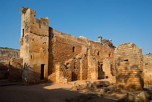 mosque ruined of chellah necropolis. rabat. morocco. - sale stok fotoğraflar ve resimler