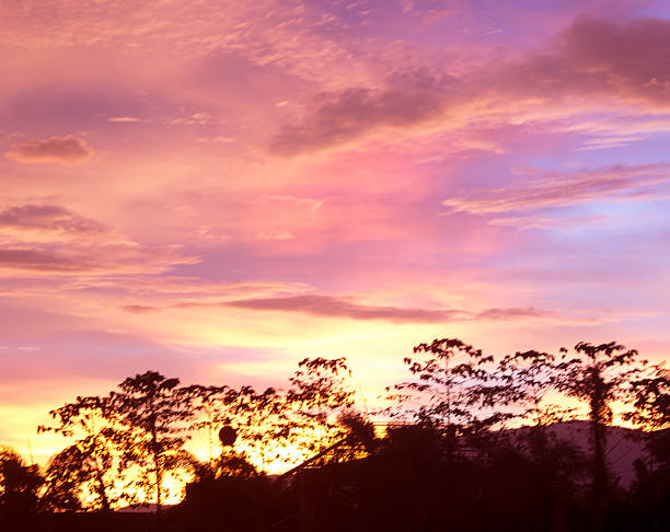 istock Bright orange and yellow colors sunset sky 503785085