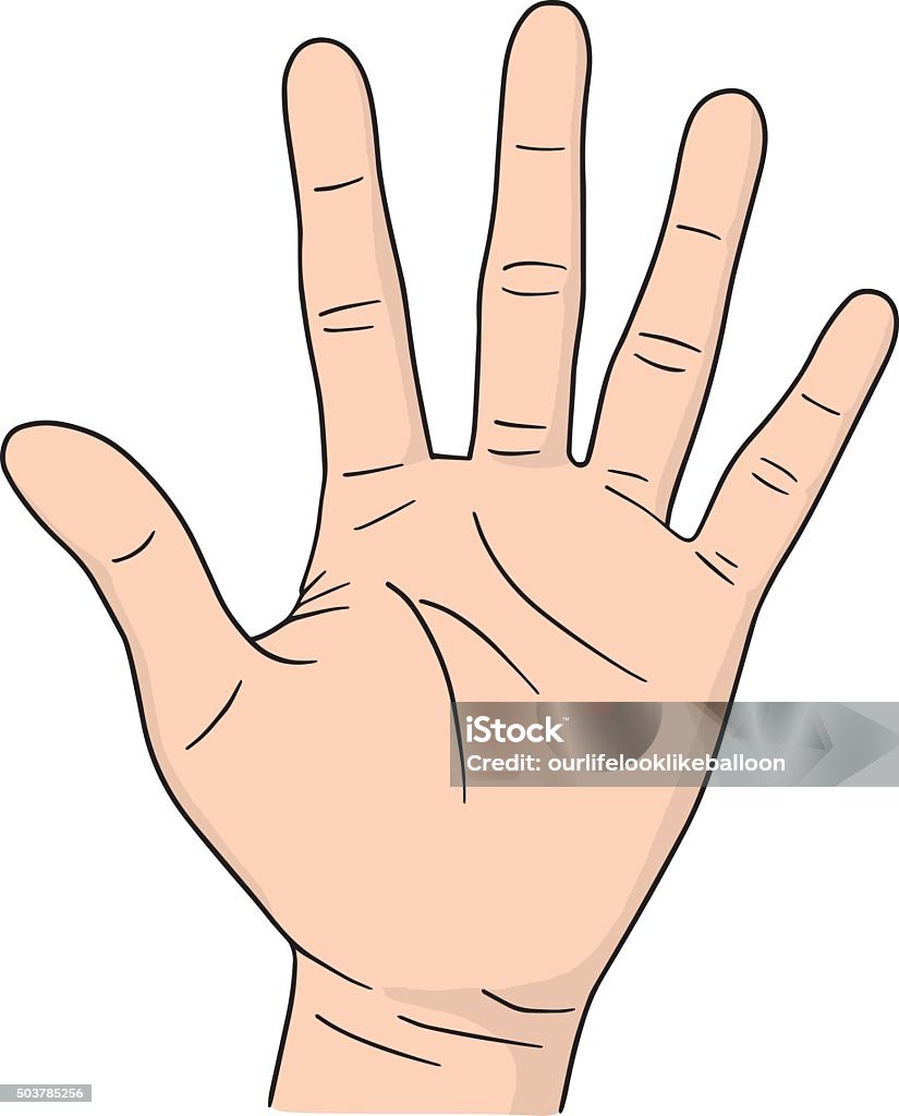 Ilustración de Vector Conjunto De Dibujos Animados De La Mano y más Vectores Libres de Derechos de Adulto - Adulto, Anatomía, Articulación humana - iStock Ilustración de Vector Conjunto De Dibujos Animados De La Mano y más Vectores Libres de Derechos de Adulto - Adulto, Anatomía, Articulación humana - iStock