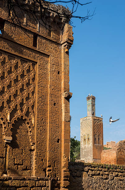 moschee und dem minarett ruinen von chellah necropolis. rabat. marokko. - salé city stock-fotos und bilder