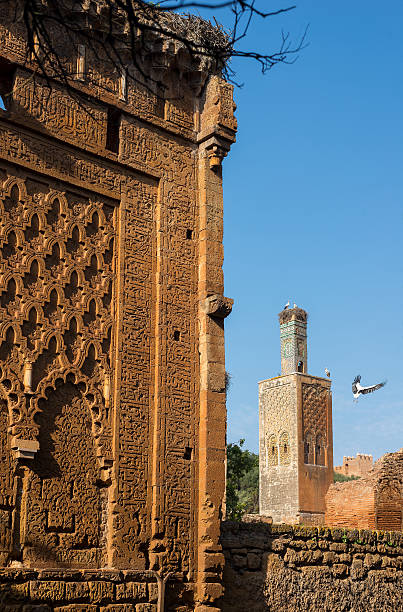 mesquita e o minarete de ancara cabana de necrópole chellah necrópole. rabat. marrocos. - salé city imagens e fotografias de stock