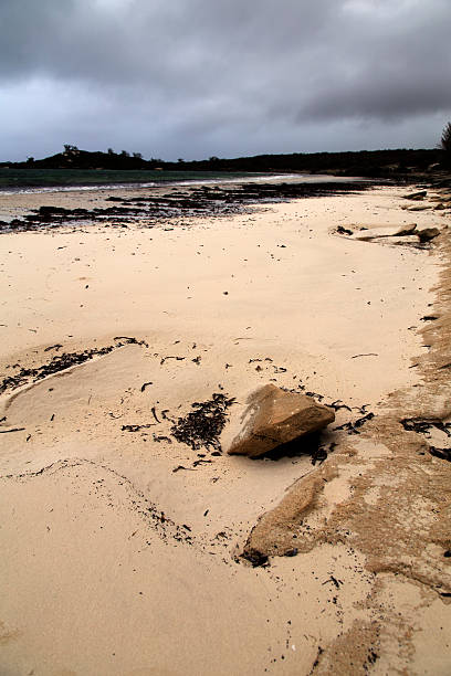 istock Beach sandy coastal landscape on a tropical island in Madagascar 503787108