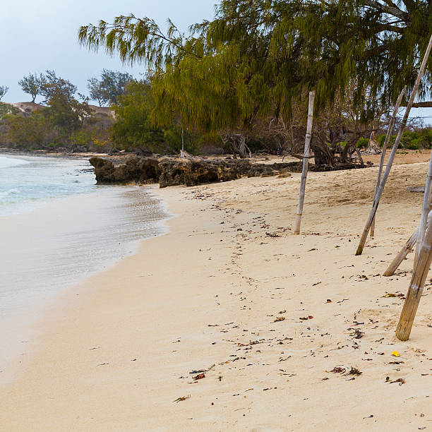 istock Beach sandy coastal landscape on a tropical island in Madagascar 503787146