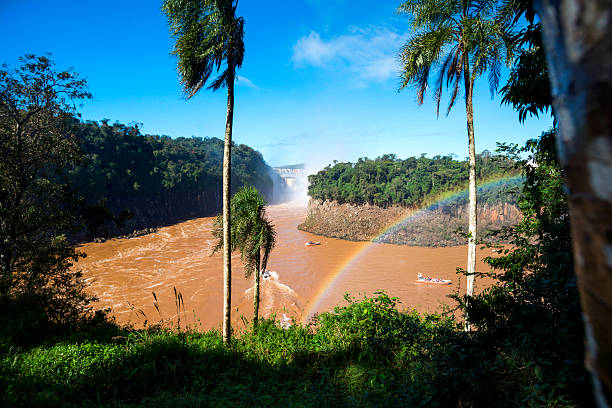 cataratas do iguaçu - tropical rainforest waterfall rainbow iguacu falls - fotografias e filmes do acervo