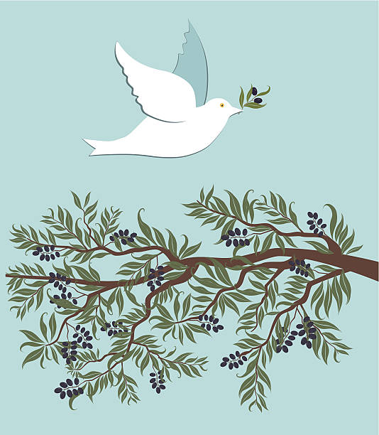 white dove flying over olive branch - musevilik illüstrasyonlar stock illustrations