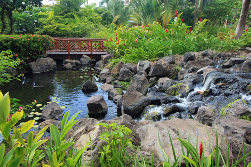 Botanical gardens in Maui, Hawaii.