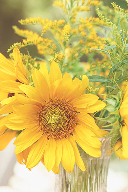 istock Sunflowers in a Vase 503787365