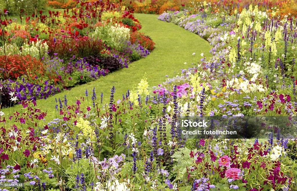 Sommer flower garden - Lizenzfrei Blume Stock-Foto