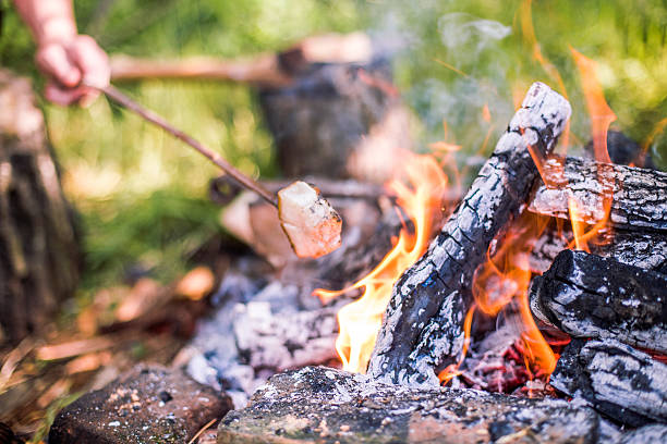 istock Picnic food 503788449