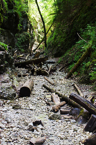 istock Gorge of Slovak Paradise 503790288