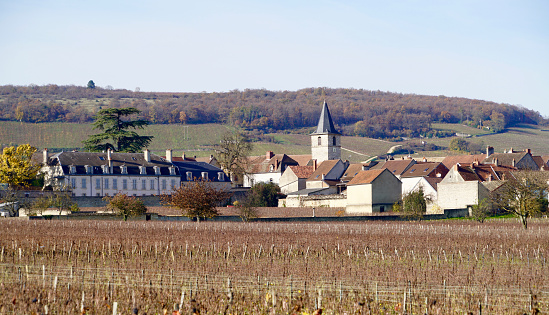 french wine village of Aloxe Corton