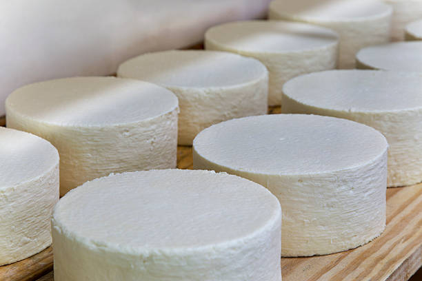 istock Cheese production in Minas Gerais, Brazil 503803035