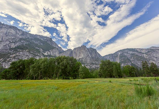istock Yosemite National Park, USA 503803701