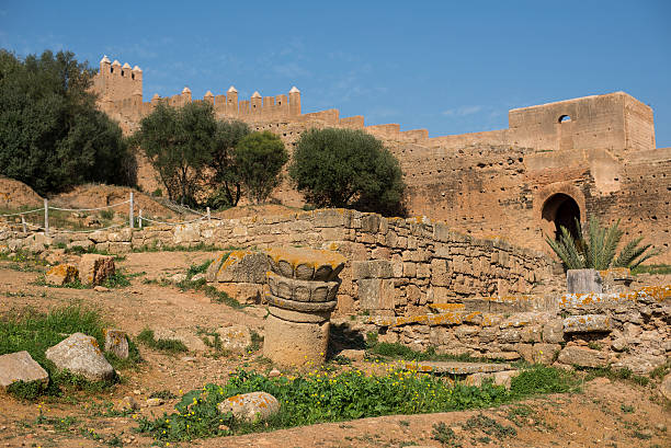 überreste der römischen stadt von chellah necropolis. rabat. marokko. - salé city stock-fotos und bilder
