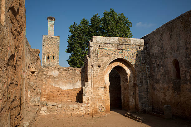 moschee und dem minarett ruinen von chellah necropolis. rabat. marokko. - salé city stock-fotos und bilder