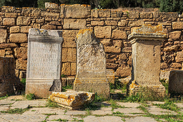 Remains of Roman city of Chellah necropolis. Rabat. Morocco. Remains of carved pedestals stone in archaeological site of the Roman city known as Sala Colonia in Chellah. Chellah is the necropolis of Rabat. Morocco. sala colonia stock pictures, royalty-free photos & images