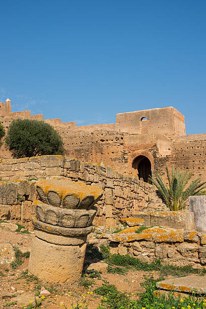 Remains of Roman city of Chellah necropolis. Rabat. Morocco. Remains of pillars in archaeological site of the Roman city known as Sala Colonia in Chellah. Chellah is the necropolis of Rabat. Morocco. sala colonia stock pictures, royalty-free photos & images