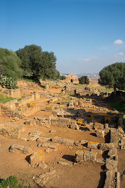 Remains of Roman city of Chellah necropolis. Rabat. Morocco. Archaeological site of the Roman city known as Sala Colonia in Chellah. Chellah is the necropolis of Rabat. Morocco. sala colonia stock pictures, royalty-free photos & images