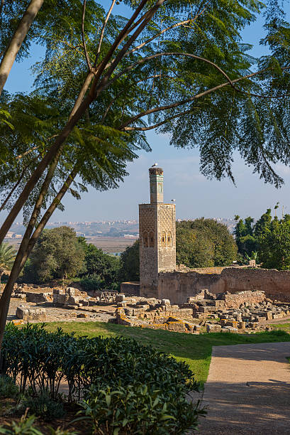 Ruins of Chellah necropolis. Rabat. Morocco. Ruins of the Roman city known as Sala Colonia and the Islamic complex of Chellah, mosque and minaret ruined. Chellah is the necropolis of Rabat. Morocco. sala colonia stock pictures, royalty-free photos & images