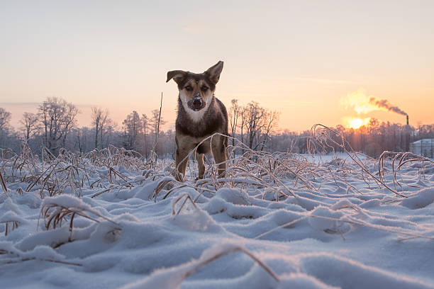 Winter hike