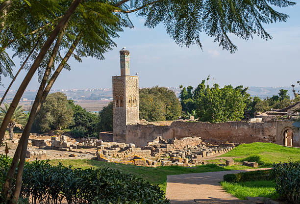 Ruins of Chellah necropolis. Rabat. Morocco. Ruins of the Roman city known as Sala Colonia and the Islamic complex of Chellah, mosque and minaret ruined. Chellah is the necropolis of Rabat. Morocco. sala colonia stock pictures, royalty-free photos & images