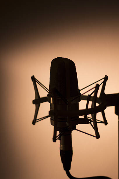 istock Audio recording vocal studio voice microphone 503806220