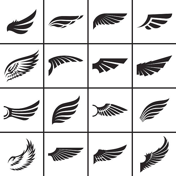 wings design-elemente-set - bird wings stock-grafiken, -clipart, -cartoons und -symbole