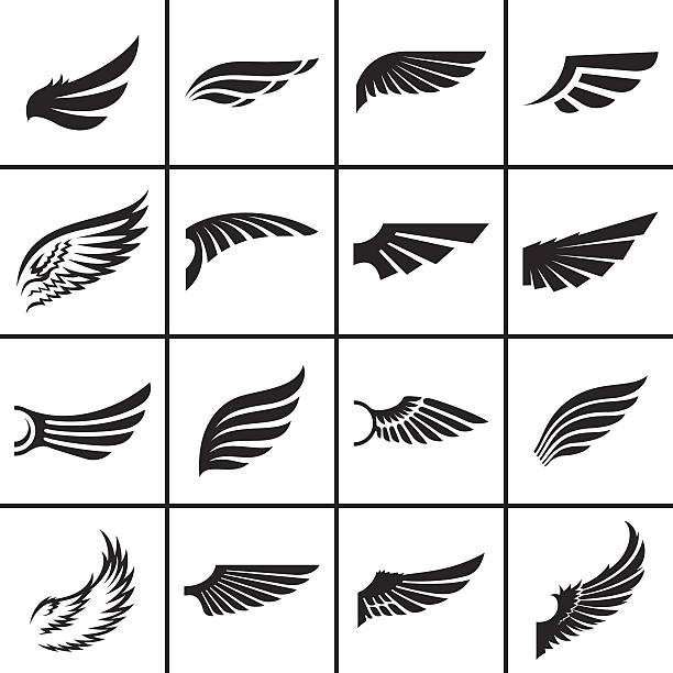 ilustrações de stock, clip art, desenhos animados e ícones de asas conjunto de elementos de design - bird wings
