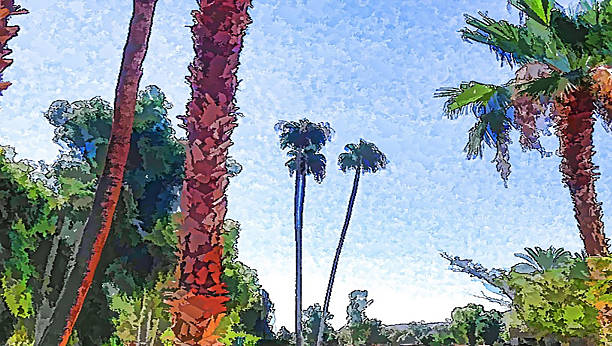 istock Palm Tree Background Photographic Art 503807744