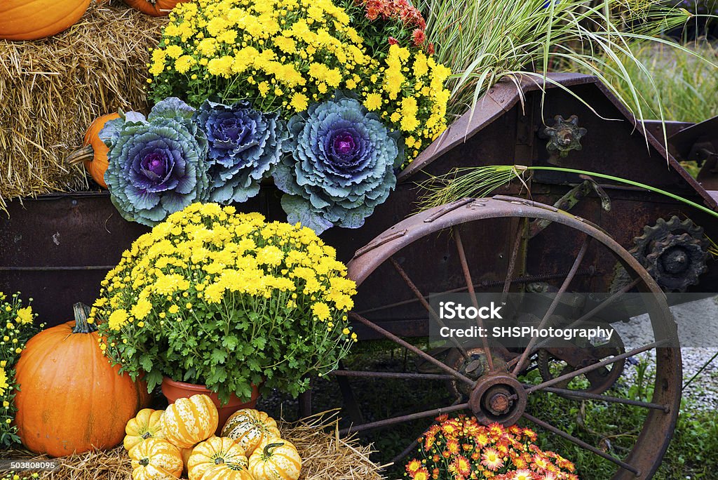Colheita de outono cena - Foto de stock de Outono royalty-free