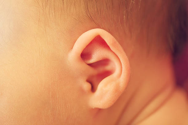 istock Little ear of newborn 503808155