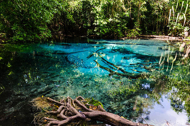 istock Sa Nam Phut is beautiful spring pool 503808339