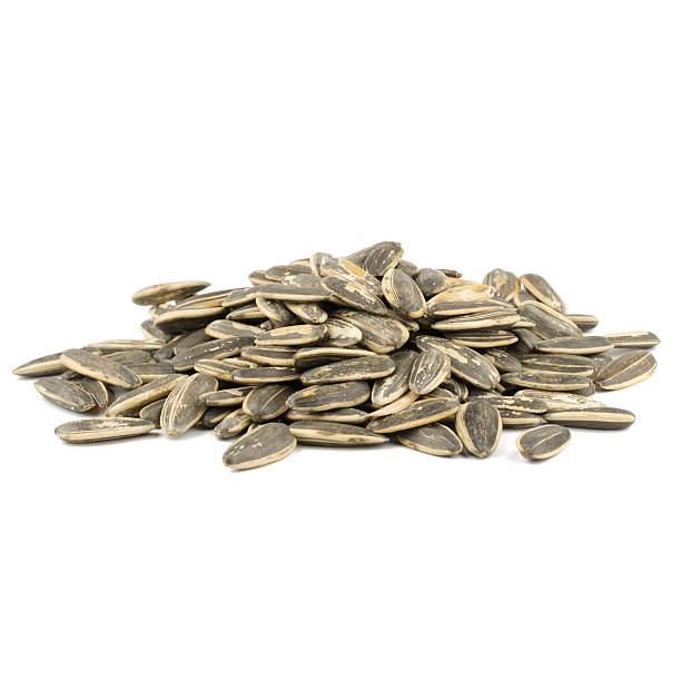 istock sunflower seeds pile against white background 503809262