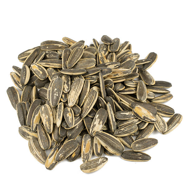 istock sunflower seeds pile against white background 503809488