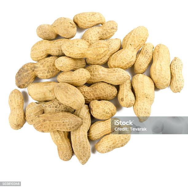 Dried Peanuts In Isolated On White Stock Photo - Download Image Now - Brown, Close-up, Color Image