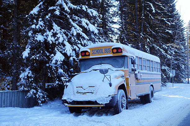 Ônibus Escolar - foto de acervo