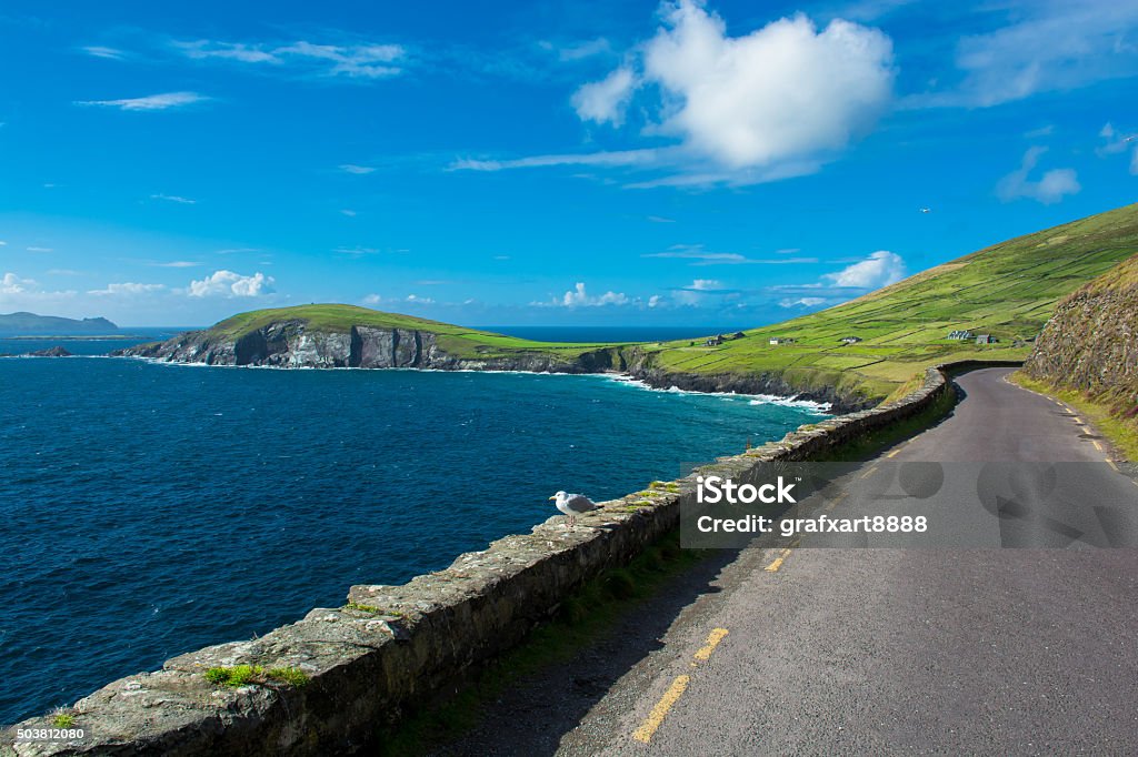 Single Track Coast Road at Slea Head in Ireland Wild Atlantic Way Stock Photo