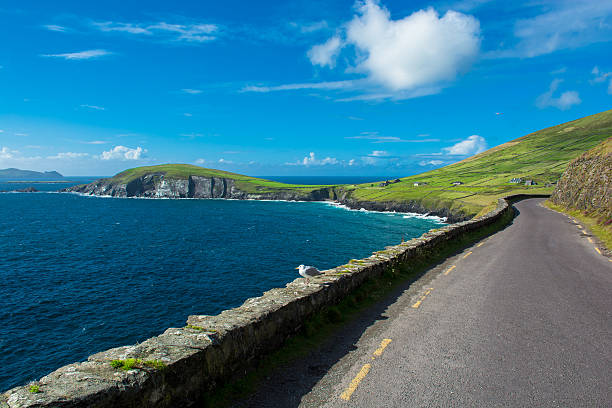 Single Track Coast Road at Slea Head in Ireland Single Track Coast Road at Slea Head in Ireland dingle peninsula stock pictures, royalty-free photos & images