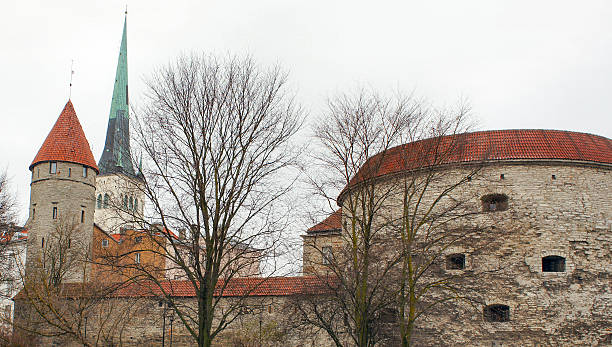 istock Tallinn Old Town, Estonia 503812136