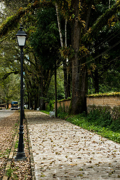 Sidewalk with banks and Trees, Mexico stock photo