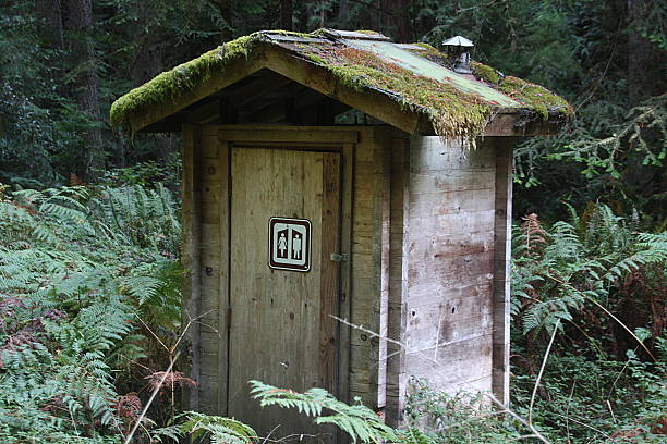 istock Outhouse in the Woods - Oregon 503815914