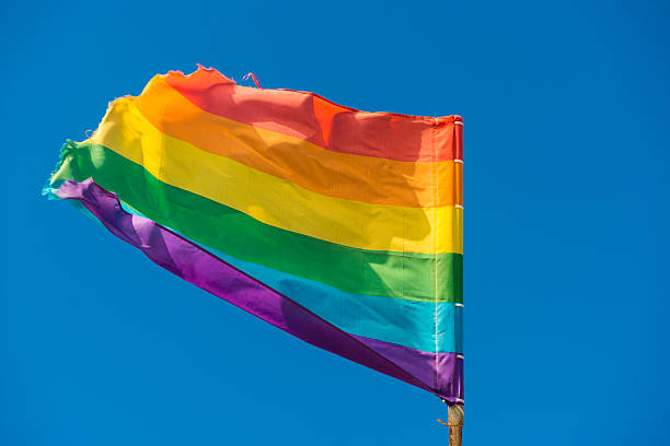 istock Rainbow flag on gay beach against a blue sky 503816384