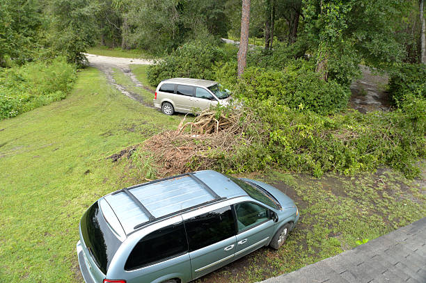 istock EF0 Tornado Damage in North Florida 503817928
