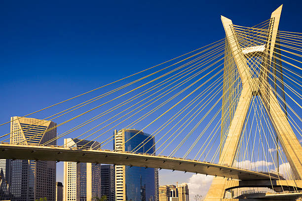 Octavio Frias Bridge in Sao Paulo, Brazil - Latin America