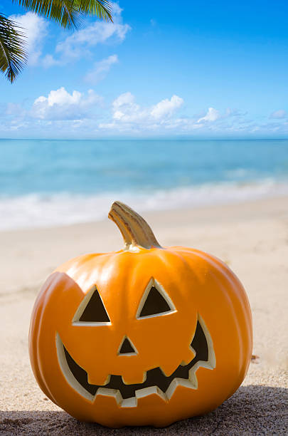 istock Halloween pumpkin on the beach 503832591