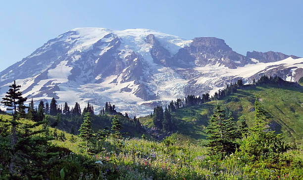 istock Top of view,Mount Rainier National Park 503834814